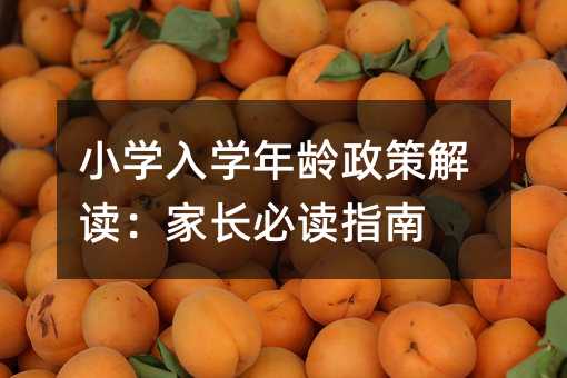 龄政策解析：父母必读指南